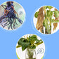 ✨ Solución nutritiva multiuso para plantas: ¡fomenta el crecimiento y la vitalidad! ✨