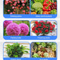 ✨ Solución nutritiva multiuso para plantas: ¡fomenta el crecimiento y la vitalidad! ✨