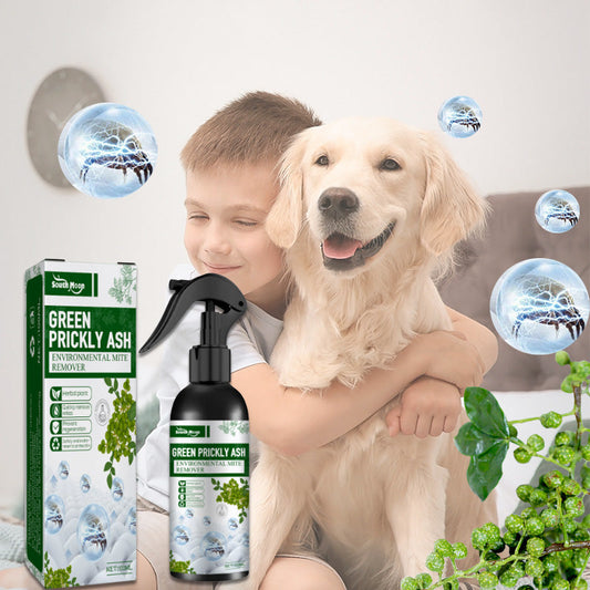 🐛 🐛SPRAY INSECTICIDA POTENTE: efecto inmediato contra moscas y mosquitos🌿🌿Sin olor y respetuoso con la piel, ideal para el hogar y el jardín