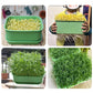 Caja apilable para el cultivo de judías germinadas - Diseño multicapa, perfecto para el cultivo en casa, ¡vida verde y saludable!
