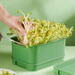 Caja apilable para el cultivo de judías germinadas - Diseño multicapa, perfecto para el cultivo en casa, ¡vida verde y saludable!