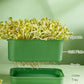 Caja apilable para el cultivo de judías germinadas - Diseño multicapa, perfecto para el cultivo en casa, ¡vida verde y saludable!